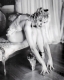 1994markseliger03.jpg