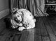 Courtney Love by Hedi Slimane